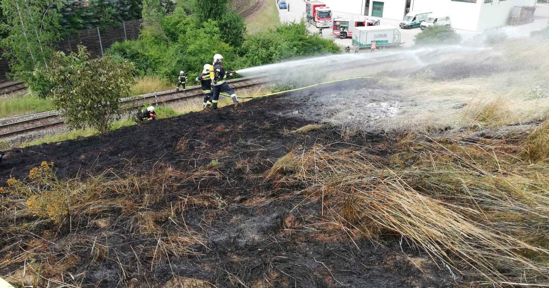 Titelbild: Böschungsbrand beschäftigt Laakirchner Feuerwehren