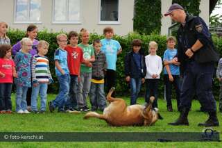 Ferienaktion: Kinder auf Besucht bei der Bezirkspolizeiinspektion Freistadt kinderpolizei-035.jpg