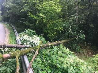 Sturmschaden in Schwertberg IMG-20190830-WA0000.jpg