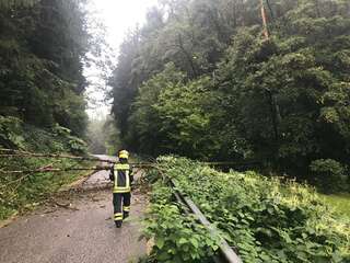 Sturmschaden in Schwertberg IMG-20190830-WA0003.jpg