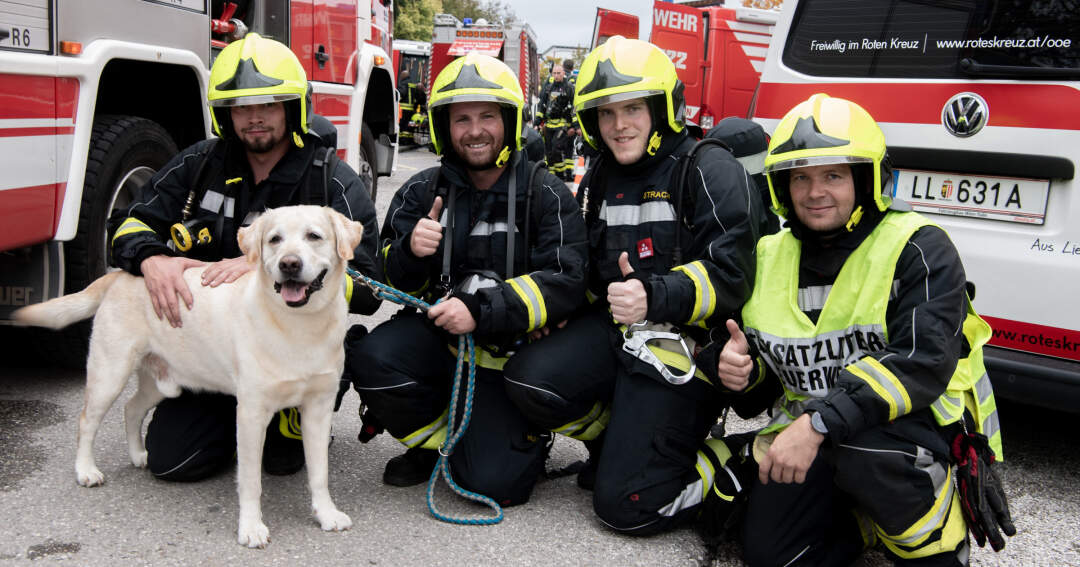 Feuerwehr rettet Person und Tiere bei Wohnhausbrand
