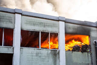 Brand in einem Abfallunternehmen - Riesige Rauchwolke in Hörsching AB1_7610.jpg