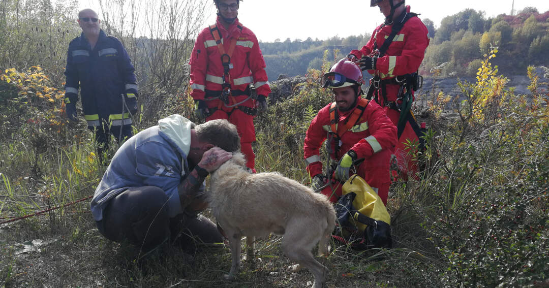 Hund „Spike“ aus Felswand gerettet