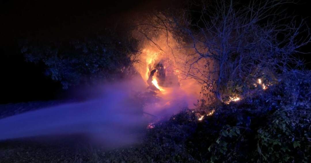 Titelbild: Brand eines Baumes