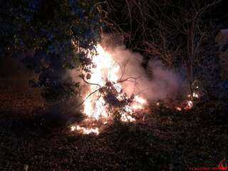 Brand eines Baumes Foto-1-1024x768.jpg