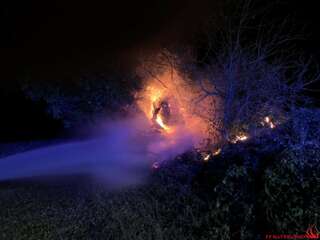 Brand eines Baumes Foto-2-1024x768.jpg