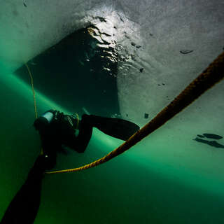 Auszeichnung für Unterwasserfoto "Schlittenfahrt unter Eis" FOKE_2020010413199077_053.jpg