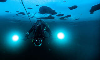 Auszeichnung für Unterwasserfoto "Schlittenfahrt unter Eis" FOKE_20200104132800037_037.jpg