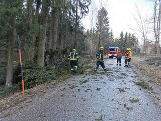 Umgestürzte Bäume und ein abgedecktes Haus beschäftigt die Feuerwehr Schwertberg IMG_20200210_154611.jpg