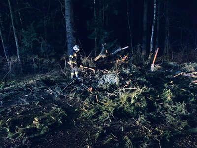 Fahrzeug gegen umgestürzte Bäume geprallt FFSattledt-2.jpg