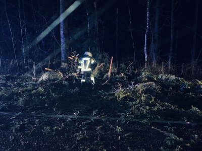Fahrzeug gegen umgestürzte Bäume geprallt FFSattledt-3.jpg