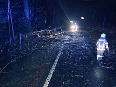Fahrzeug gegen umgestürzte Bäume geprallt FFSattledt.jpg