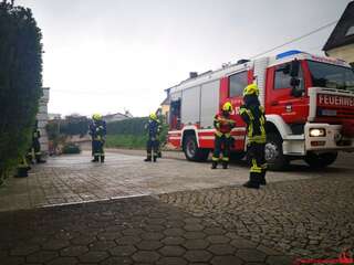 Heckenbrand in Mauthausen IMG_20200413_163825-1024x768.jpg
