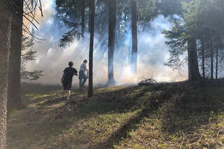 Waldbrand durch Anrainer verhindert FOKE_2020041714033206_005.jpg