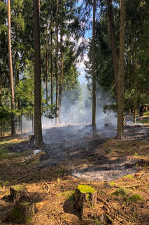 Waldbrand durch Anrainer verhindert FOKE_2020041714183216_008.jpg