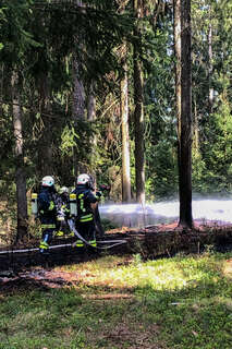 Waldbrand durch Anrainer verhindert FOKE_2020041714403306_011.jpg