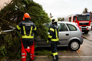 Größerer Baum stürzte auf mehrere Fahrzeuge FOKE_2020051119291333_029.jpg