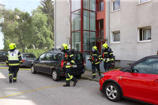 Vier Verletzte bei Kellerbrand in Steyr foke_2020052115350011_083.jpg