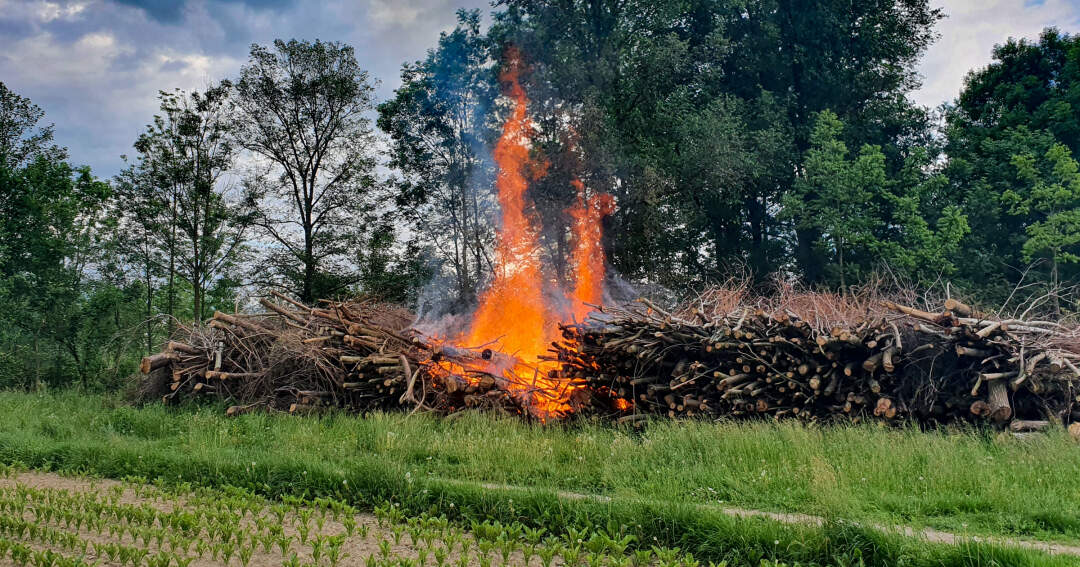 Brand eines Holzhaufens neben Feldkirchner Badesee