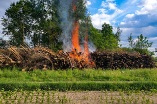 Brand eines Holzhaufens neben Feldkirchner Badesee 20200521_183016_227.jpg