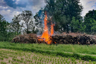 Brand eines Holzhaufens neben Feldkirchner Badesee 20200521_183646_220.jpg