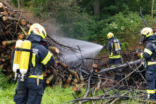 Brand eines Holzhaufens neben Feldkirchner Badesee FOKE_2020052119361030055_006.jpg