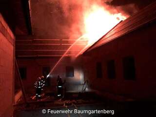 Großbrand verhindert - Aufmerksame Anwohnerin verständigt Feuerwehrkommandant PSX_20200526_125432.jpg