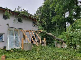 Baum stürzte auf Haus 50100764697_15d26a2a99_h.jpg