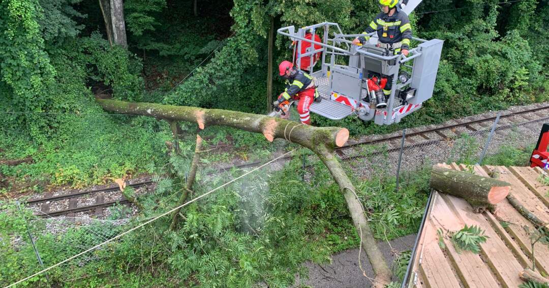 Umgestürzter Baum blockiert die Bahngleise der Steyrtalbahn und bleibt auf Hallendach liegen