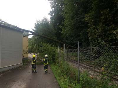 Umgestürzter Baum blockiert die Bahngleise der Steyrtalbahn und bleibt auf Hallendach liegen IMG-20200805-WA0001.jpg