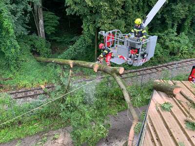 Umgestürzter Baum blockiert die Bahngleise der Steyrtalbahn und bleibt auf Hallendach liegen IMG-20200805-WA0030.jpg