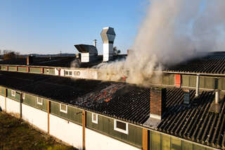 Brand im Dachbereich einer Firmenhalle in Asten FOKE-202011060819-001.jpeg