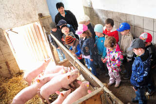 Kinder besuchen Bauernhof 015_20110419_a.jpg
