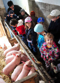 Kinder besuchen Bauernhof 016_20110419_a.jpg
