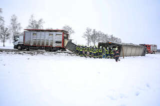 Tiertransporter stürzte in Straßengraben JODTS-2021010711115563-011.jpeg