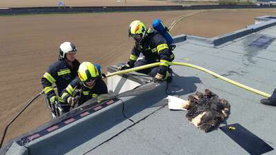 Brand im Dachstuhlbereich eines Wohnhauses 20210428-115154.jpeg