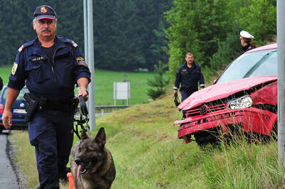 Polizeihunde stellten Autoschieber autoschieber_05.jpg