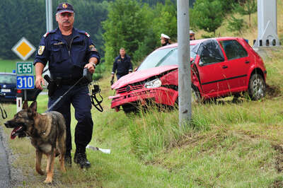 Polizeihunde stellten Autoschieber autoschieber_06.jpg