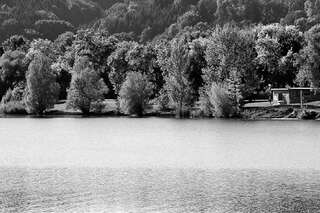 Pichlingersee: Spaziergänger findet Leiche im Wasser pichlingersee_01.jpg