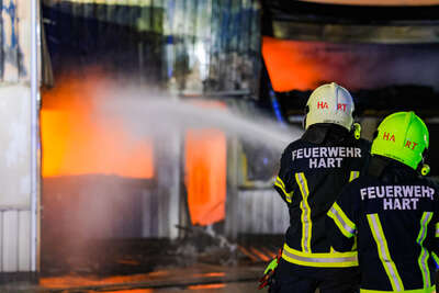 Großbrand einer Firmenhalle in Pasching DRAXLER-2021052600566353-123.jpeg