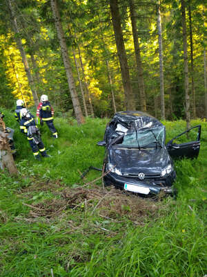 Tödlicher Verkehrsunfall - Bezirk Freistadt 2.jpeg