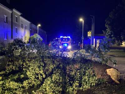 Sturmschaden in der Stiftsstraße – Baum fällt auf Fahrzeuge IMG-9678.jpeg