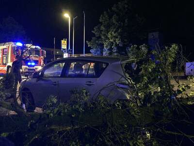 Sturmschaden in der Stiftsstraße – Baum fällt auf Fahrzeuge IMG-9684.jpeg