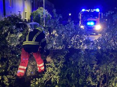 Sturmschaden in der Stiftsstraße – Baum fällt auf Fahrzeuge IMG-9688.jpeg