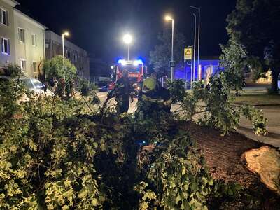 Sturmschaden in der Stiftsstraße – Baum fällt auf Fahrzeuge IMG-9695.jpeg