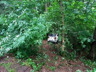 Verkehrsunfall - Fahrzeug landet im Wald FB-IMG-1624346384214.jpeg