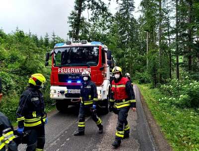 Verkehrsunfall - Fahrzeug landet im Wald FB-IMG-1624346386435.jpeg