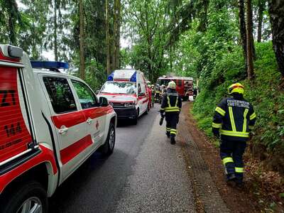 Verkehrsunfall - Fahrzeug landet im Wald FB-IMG-1624346388568.jpeg