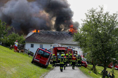 Großbrand auf einem Bauernhof in Garsten foke-2021072414321957-011.jpg