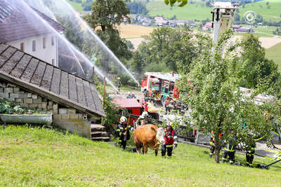 Großbrand auf einem Bauernhof in Garsten foke-2021072414542070-050.jpg